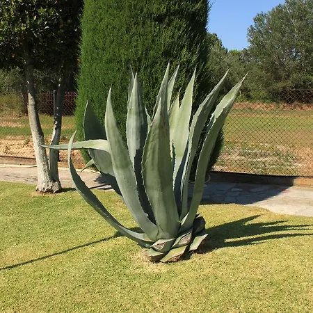 Garden House Vourvourou